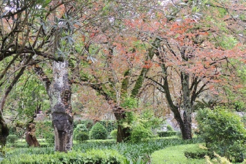 View of Coimbra Botanic Garden in spring 