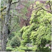 Coimbra Botanical Gardens 