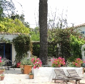 A typical Algarve garden terace 
